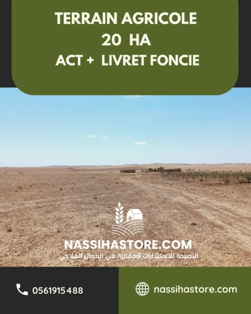 Vente Terrain Agricole Djelfa Birine
