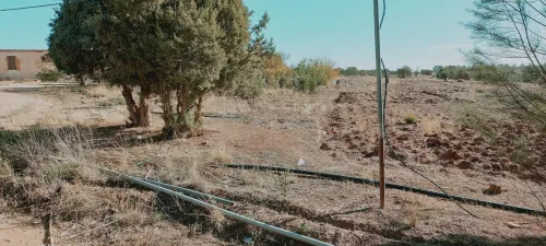 Vente Terrain Agricole Djelfa Djelfa