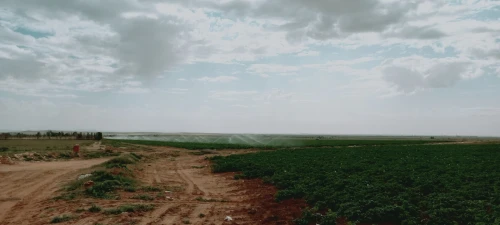 Vente Terrain Agricole Djelfa Birine
