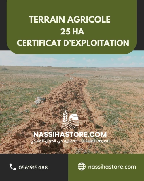 Vente Terrain Agricole Djelfa Birine