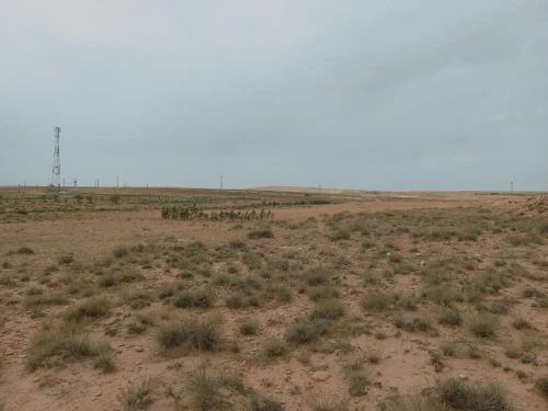 Vente Terrain Agricole Djelfa Djelfa