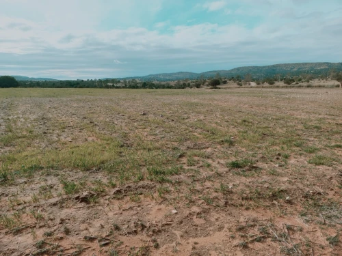 Vente Terrain Agricole Djelfa Djelfa