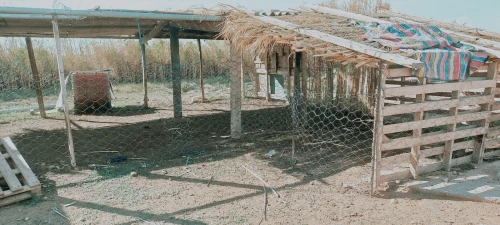 Vente Terrain Agricole Djelfa Birine