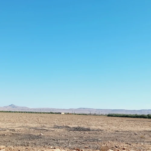 Vente Terrain Agricole Djelfa Ain oussara