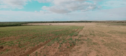 Vente Terrain Agricole Djelfa Had sahary