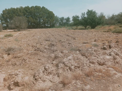 Vente Terrain Agricole Djelfa Djelfa