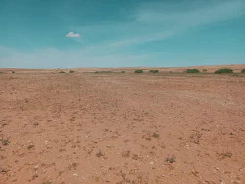 Vente Terrain Agricole Djelfa Bouira lahdab