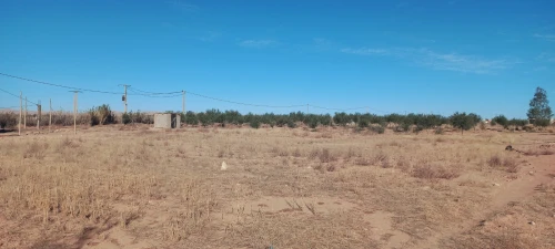 Vente Terrain Agricole Djelfa Djelfa