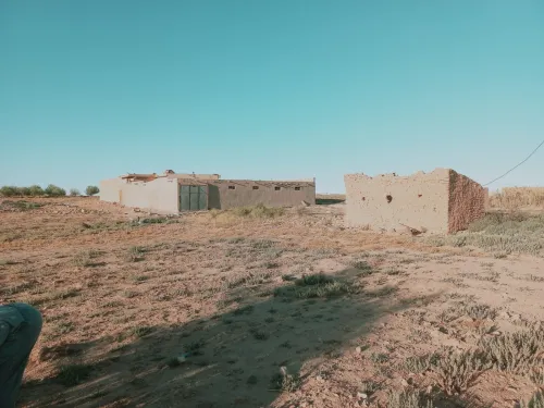 Vente Terrain Agricole Djelfa Djelfa