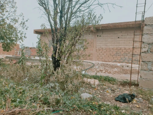 Vente Terrain Agricole Djelfa Djelfa