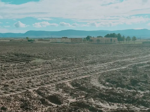 Vente Terrain Agricole Djelfa Had sahary