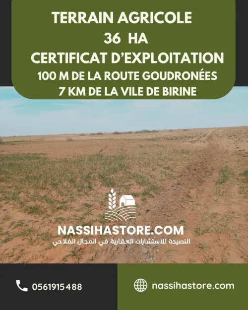Vente Terrain Agricole Djelfa Birine
