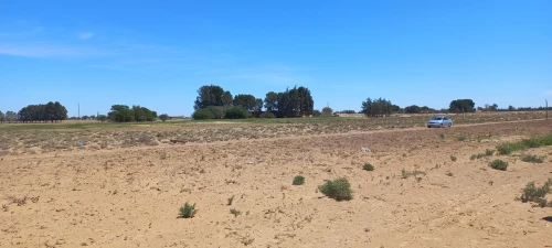Vente Terrain Agricole Djelfa Zaafrane