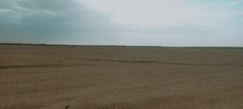 Vente Terrain Agricole Djelfa Ain oussara