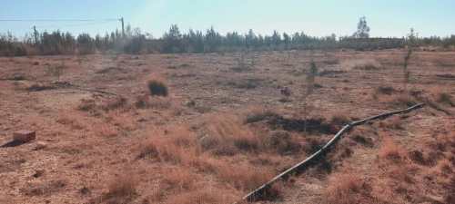 Vente Terrain Agricole Djelfa Djelfa