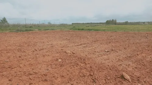 Vente Terrain Agricole Djelfa Ain oussara