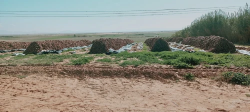 Vente Terrain Agricole Djelfa Ain oussara