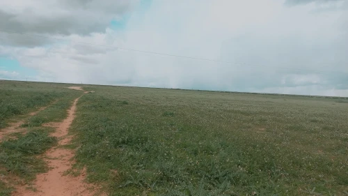 Vente Terrain Agricole Djelfa Birine