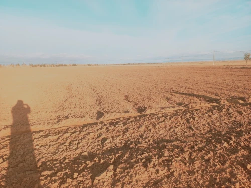 Vente Terrain Agricole Djelfa Ain oussara
