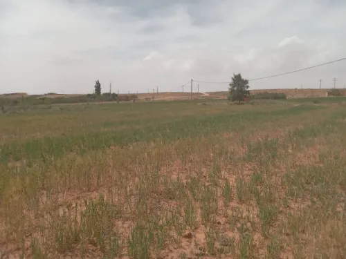 Vente Terrain Agricole Djelfa Djelfa