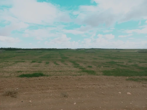 Vente Terrain Agricole Djelfa Ain oussara