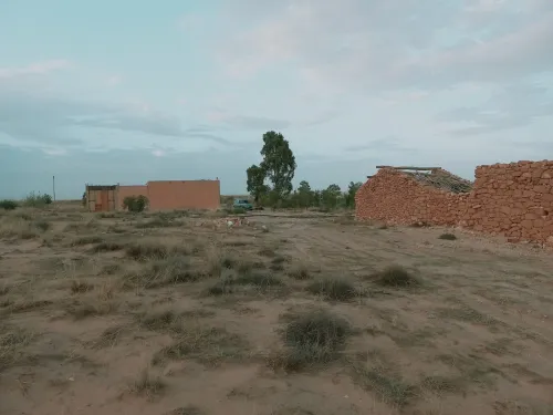 Vente Terrain Agricole Djelfa Djelfa