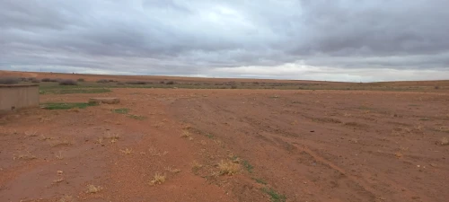 Vente Terrain Agricole Djelfa Ain oussara