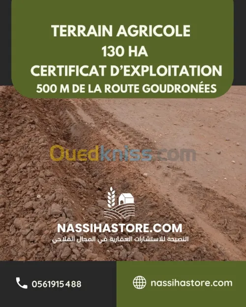 Vente Terrain Agricole Djelfa Birine