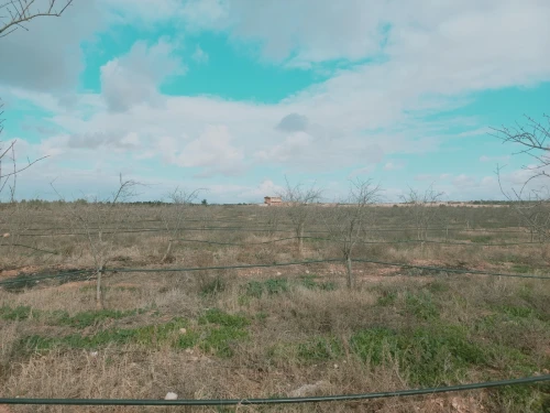 Vente Terrain Agricole Djelfa Ain oussara