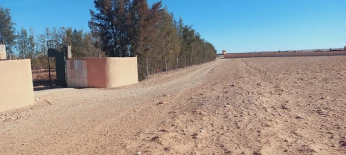 Vente Terrain Agricole Djelfa Djelfa