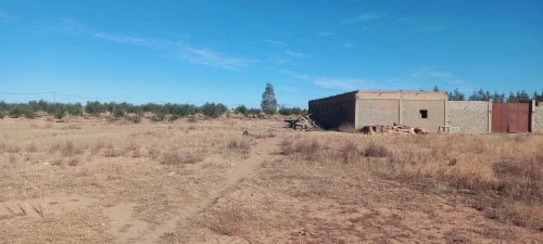 Vente Terrain Agricole Djelfa Djelfa