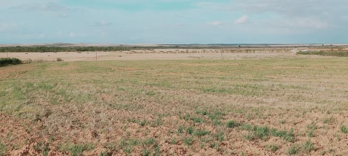 Vente Terrain Agricole Djelfa Had sahary