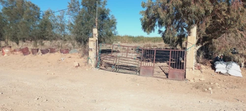 Vente Terrain Agricole Djelfa Ain oussara