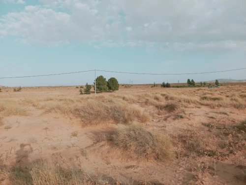 Vente Terrain Agricole Djelfa Charef
