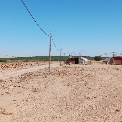 Vente Terrain Agricole Djelfa Benhar