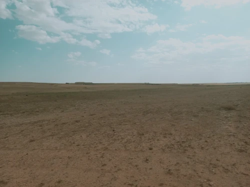 Vente Terrain Agricole Djelfa Djelfa