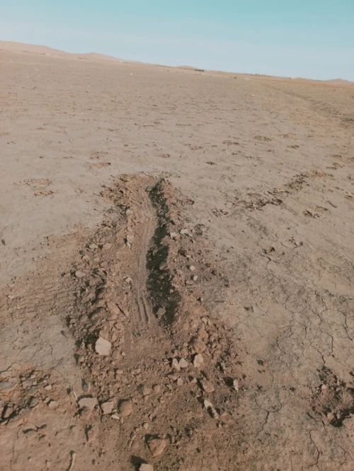 Vente Terrain Agricole Djelfa Djelfa