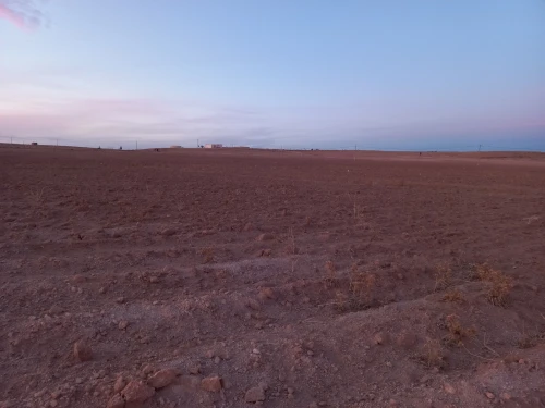 Vente Terrain Agricole Djelfa Ain el ibel