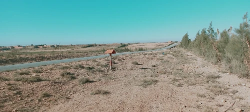 Vente Terrain Agricole Djelfa Djelfa