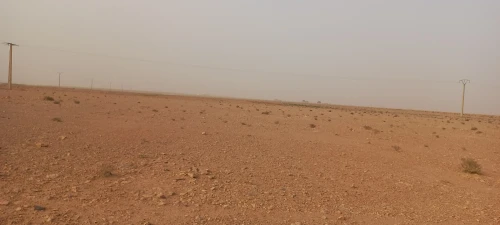 Vente Terrain Agricole Laghouat Ksar el hirane