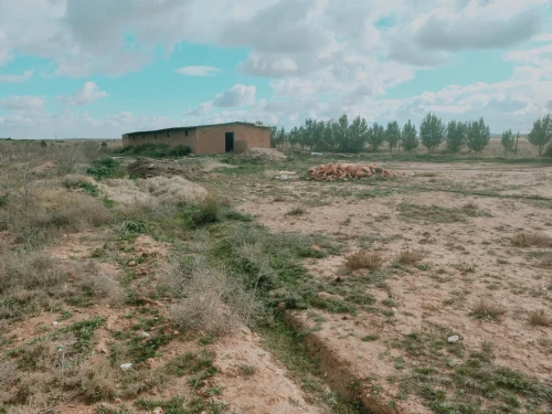 Vente Terrain Agricole Djelfa Ain oussara