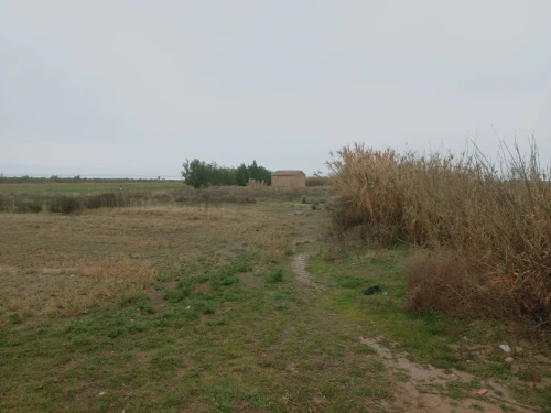 Vente Terrain Agricole Djelfa Ain oussara