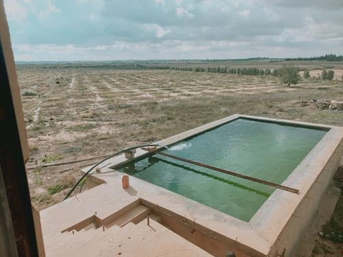 Vente Terrain Agricole Djelfa Ain oussara