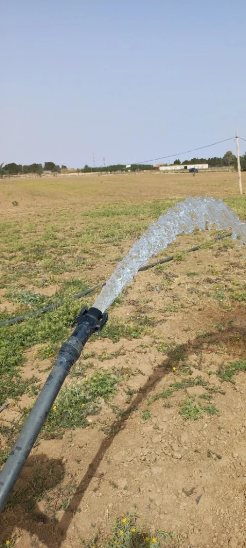 Vente Terrain Agricole Djelfa Zaafrane