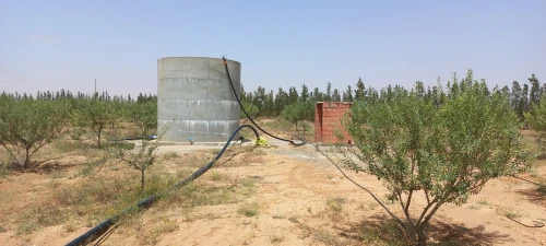 Vente Terrain Agricole Djelfa Ain oussara