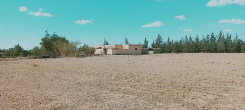 Vente Terrain Agricole Djelfa Zaafrane