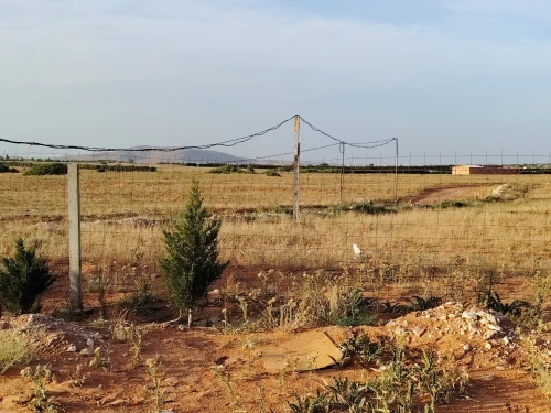 Vente Terrain Agricole Djelfa Hassi bahbah