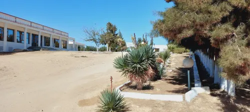 Vente Terrain Agricole Djelfa Djelfa