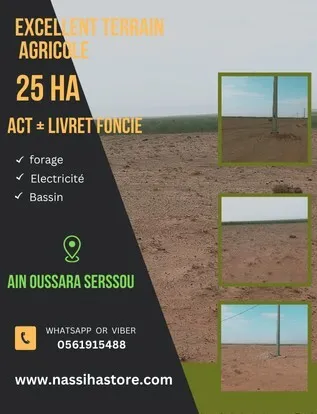 Vente Terrain Agricole Djelfa Ain oussara