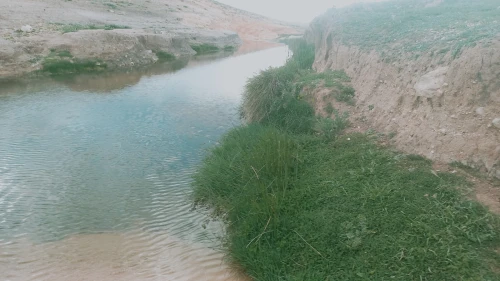 Vente Terrain Agricole Djelfa Djelfa
